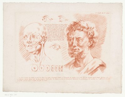 Głowy i oczy dwóch mężczyzn z różnych punktów widzenia 3.e Feuille du 8e Cahier. (tytuł na obiekcie) Kompozycje z częściami ludzkiego ciała (tytuł serii) Huitième Cahier de Principes de Design (tytuł serii) autorstwa Jean Francois Janinet