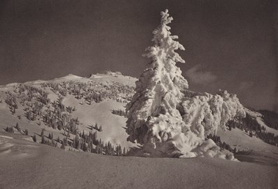 Rigi Kaltbad, Skigelande i Rigi Kulm (zdjęcie czarno-białe) autorstwa Jean Gaberell