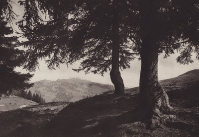 Rigi Staffel, spacer w pobliżu Staffel (zdjęcie czarno-białe) autorstwa Jean Gaberell