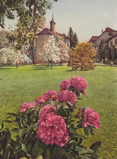 Szwajcaria: Mammern nad Jeziorem Bodeńskim, na terenie sanatorium (zdjęcie kolorowe) autorstwa Jean Gaberell
