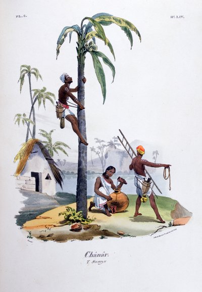 Chanar, 1828 autorstwa Jean Henri Marlet
