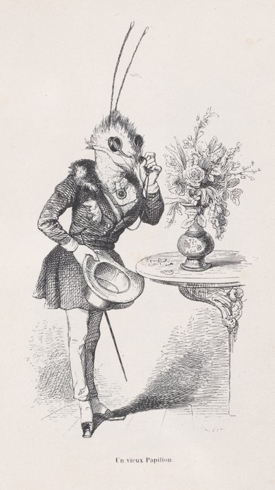 Stary Motyl ze Scen z Prywatnego i Publicznego Życia Zwierząt, ca. 1837-47. autorstwa Jean Ignace Isidore Gérard