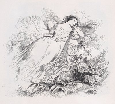 Sylfa z Dzieł wszystkich Bérangera, 1836. autorstwa Jean Ignace Isidore Gérard