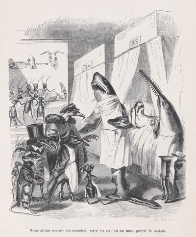 Zamierzamy naciąć mięśnie, zobaczymy kości, słowem uzdrowimy chorych z Sc..., ok. godz. 1837-47. autorstwa Jean Ignace Isidore Gérard