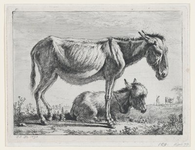 Jenny ze swoim źrebakiem, 1797. autorstwa Jean Jacques de Boissieu
