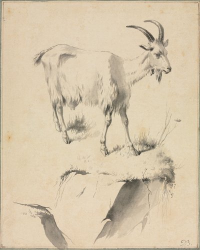 Studium kozy, XVIII wiek. autorstwa Jean Jacques de Boissieu