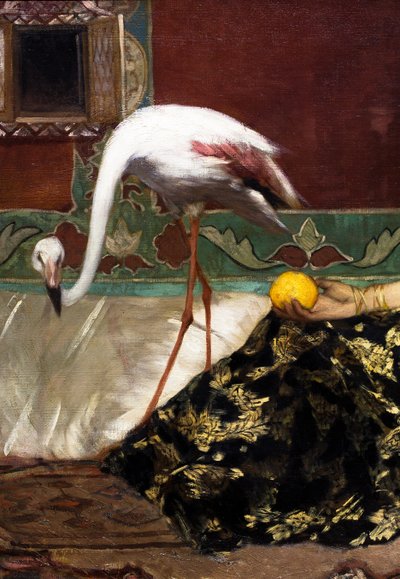 Różowy flaming (szczegół) autorstwa Jean Joseph Benjamin Constant