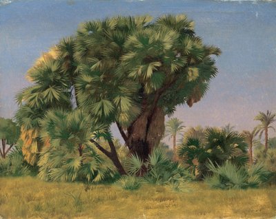 Studium palm autorstwa Jean Leon Gerome