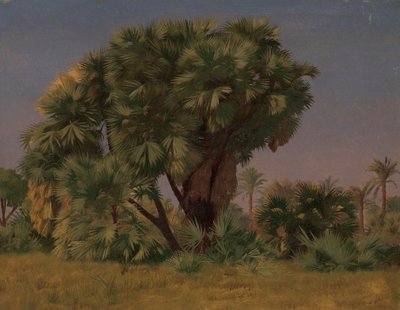Studium palm, prawdopodobnie 1868 r. autorstwa Jean Leon Gerome