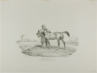 Koń arabski, talerz 8 z Różne tematy narysowane z życia i na kamieniu (The English Suite) autorstwa Jean Louis André Théodore Géricault