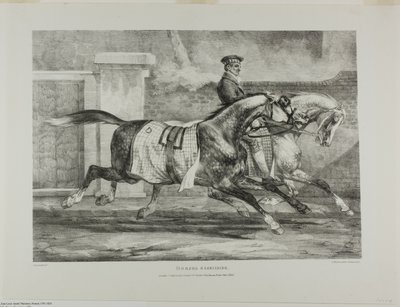 Ćwiczące konie, płyta 6 z różnych tematów narysowanych z życia i na kamieniu (The English Suite) autorstwa Jean Louis André Théodore Géricault