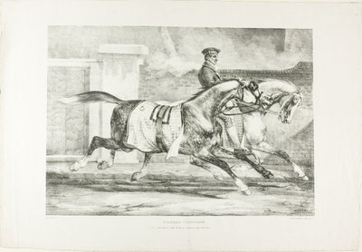 Ćwiczące konie, płyta 6 z Różne tematy narysowane z życia na kamieniu autorstwa Jean Louis André Théodore Géricault