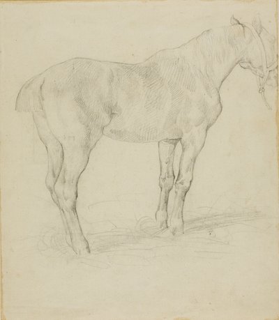 Stojący koń autorstwa Jean Louis André Théodore Géricault