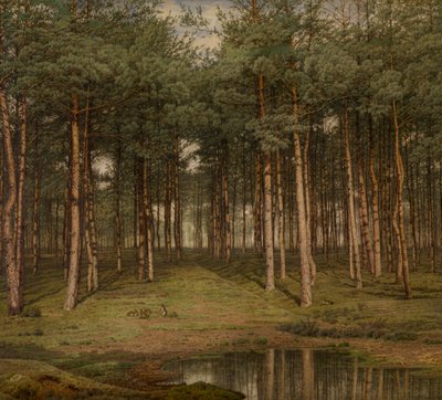 Jodła w Putte autorstwa Jean Pierre Francois Lamoriniere