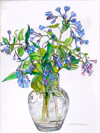Virginia Blue Bells in Narrow Necked Vase, 2006 (akwarela i tusz na papierze) autorstwa Jean Swan Gordon