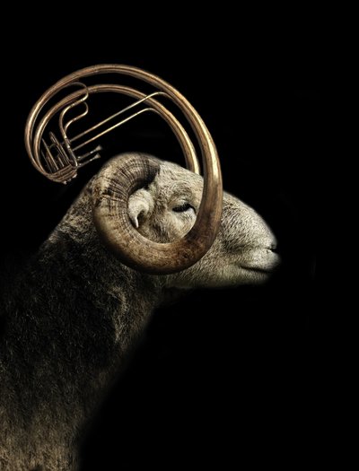 Profil muzyczny Ram autorstwa Jeffrey Hummel