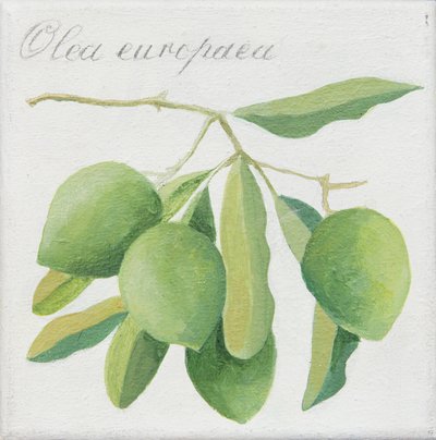 Zielone oliwki (akryl) autorstwa Jennifer Abbott