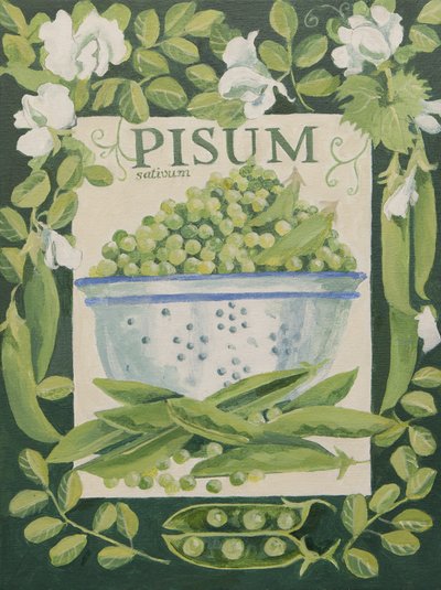 Pisum, Groch (akryl) autorstwa Jennifer Abbott