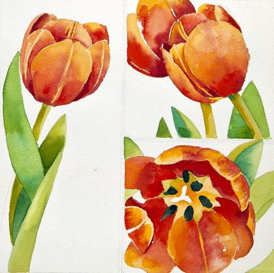 Trzy studia nad tulipanem w pewności, 2013 (akwarela) autorstwa Jennifer Abbott