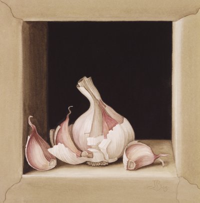 Czosnek, 2005 (wc na papierze) autorstwa Jenny Barron