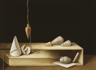 Złudzenie optyczne, 2005 (wc na papierze) autorstwa Jenny Barron