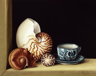 Martwa natura z Nautilusem, 1998 (wc na papierze) autorstwa Jenny Barron