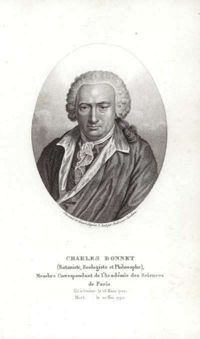 Karol Bonnet autorstwa Jens Juel