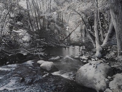 Riverscapes, 2024 (olej na płótnie) autorstwa Jerome Glomaud