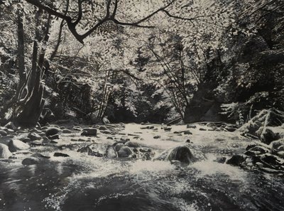 Riverscapes, 2024 (olej na płótnie) autorstwa Jerome Glomaud