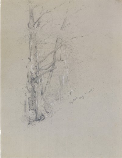 Suchy potok, 1888. autorstwa Jervis McEntee
