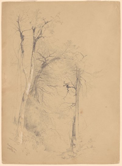 Ząbek Kaaterskill autorstwa Jervis McEntee
