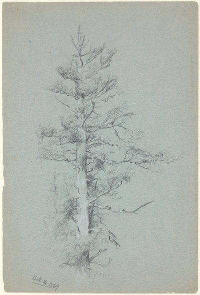 Badanie drzewa autorstwa Jervis McEntee