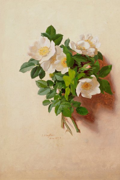 Czerwiec (z serii dwunastu) autorstwa Jessica Hayllar