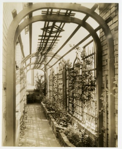 Ogród pani Reginy Jais, ok. 1936-37 (fotografia żelatynowa srebrna) autorstwa Jessie Tarbox Beals