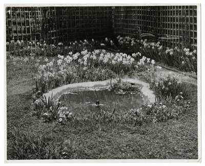 Garden of Mr & Mrs Wm H Wells 265 W 11th St, Nowy Jork, USA autorstwa Jessie Tarbox Beals