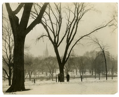 The Common, Boston, USA, ok.1902-10 (zdjęcie żelatynowo-srebrowe) autorstwa Jessie Tarbox Beals