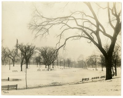 The Common, Boston, USA, ok.1902-10 (zdjęcie żelatynowo-srebrowe) autorstwa Jessie Tarbox Beals