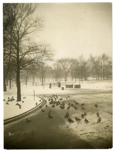 Niezwykle zimno w Common, Boston, USA, ok. 1902-10 (zdjęcie żelatynowo-srebrowe) autorstwa Jessie Tarbox Beals