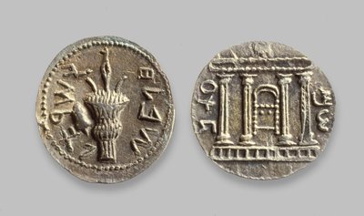 Monety Selah z buntu Bar Kochba, 134 AD (metal) autorstwa Jewish School