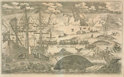 Połowy wielorybów autorstwa Joachim Wichmann
