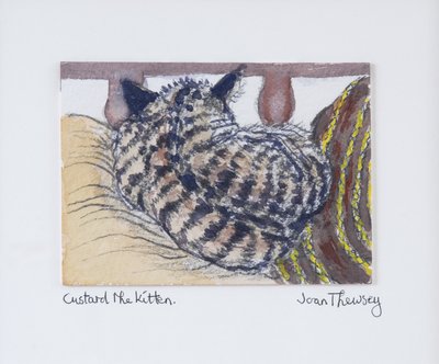 Custard the Kitten,2005,(ołówek i akwarela) autorstwa Joan Thewsey