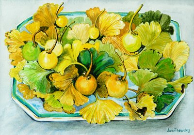 Ginkgo, owoce i liście, 2010, akwarela autorstwa Joan Thewsey