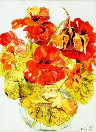 Nasturcje, 2005, (farba wodna) autorstwa Joan Thewsey
