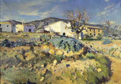 Maliza de Magí autorstwa Joaquim Mir i Trinxet