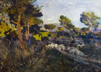Nieuprawny autorstwa Joaquim Mir i Trinxet