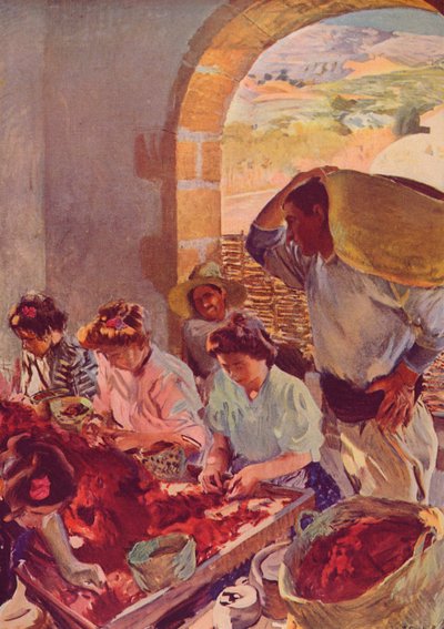 Przygotowanie suchych winogron, 1890, c1932 autorstwa Joaquín Sorolla