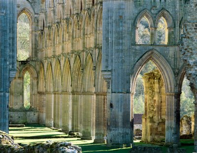 Opactwo Rievaulx, c1990-2010 autorstwa Joe Cornish