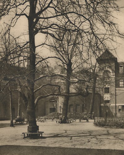 Pod wiązami na dziedzińcu szpitala Middlesex, ok. 1935. autorstwa Joel