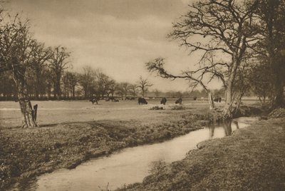 Gdzie Beverley Brook wije się przez Królewski Park Myśliwski w Richmond, c1935. autorstwa Joel