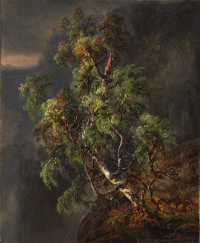 Brzoza podczas burzy autorstwa Johan Christian Dahl